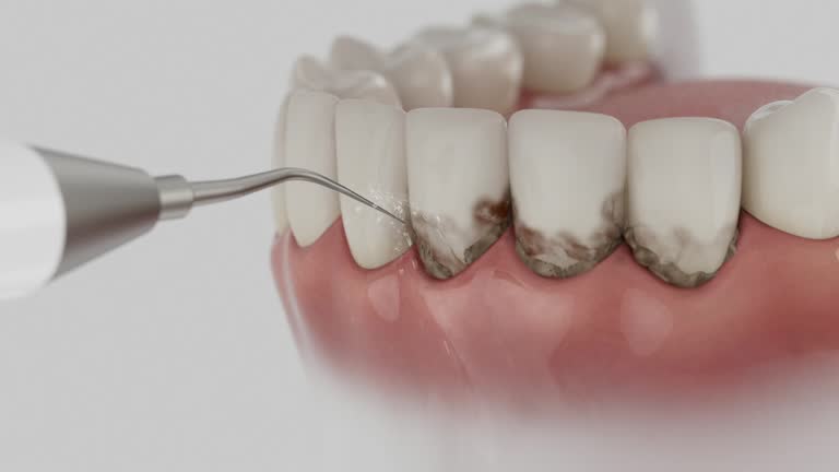 Reliable Dental contractor in Columbia, TN by Dentist Open Now